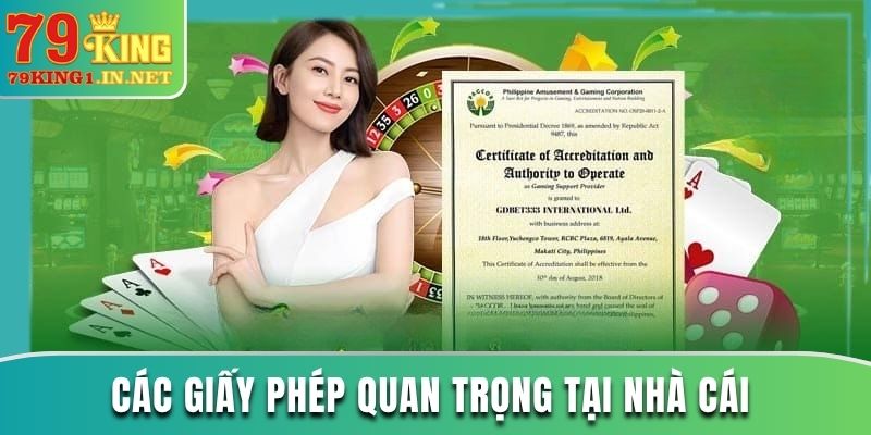 Các giấy phép quan trọng