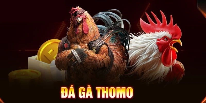 Giới thiệu về đá gà Thomo