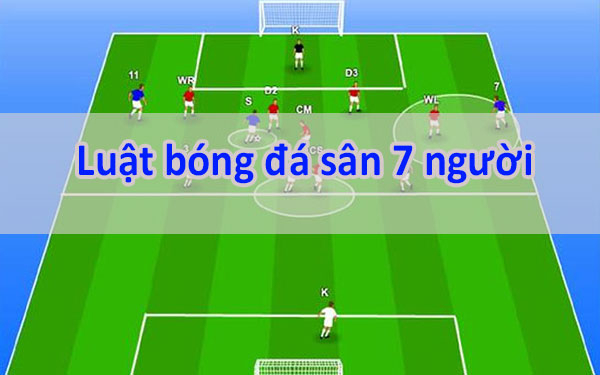 Luật bóng đá 7 người là gì?